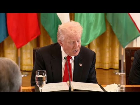 Видео: Дональд Трамп высказался об итогах саммита C5+1