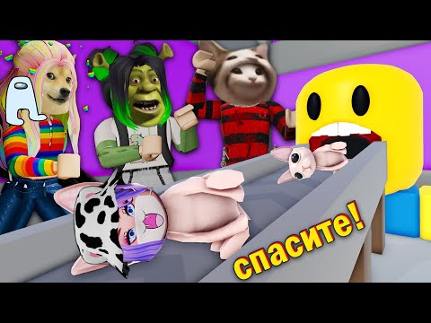 Видео: СТРОИМ ТАЙКУН МЕМОВ В РОБЛОКСЕ! Roblox Meme Tycoon