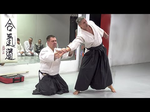Видео: Айкидо - Ханми Хандати