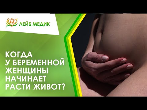 Видео: 🤰 Когда у беременной женщины начинает расти живот?