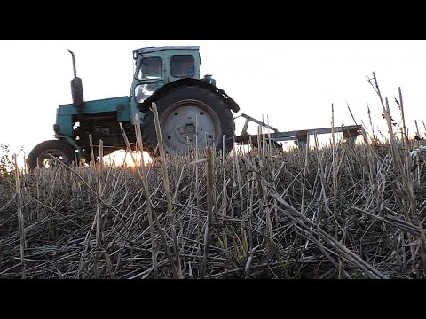 Видео: 🚜💪🏻Осенняя Пахота под Ячмень Трактором Т-40