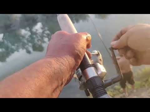 Видео: ЭТО КРУПНЯК ! КЛЕВ НА РАЗРЫВ ! НЕ ХВАТАЕТ СИЛ ВЫТАЩИТЬ !  #капчагай#рыбалка#алматы#иле