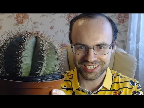 Видео: Я РОБОТ? СТАРЫЙ ИЛИ МУДРЫЙ? КАК ВЫУЧИТЬ АНГЛИЙСКИЙ ЯЗЫК за 10 МИНУТ В ДЕНЬ - УРОКИ АНГЛИЙСКОГО ЯЗЫКА