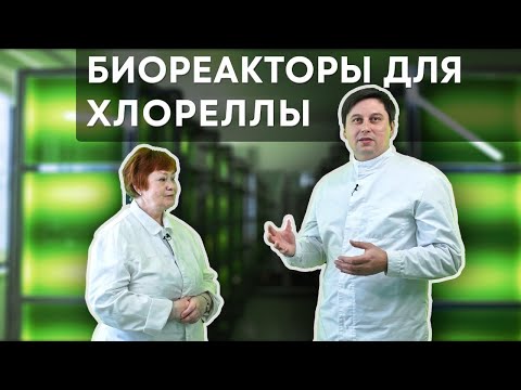 Видео: Биореакторы для хлореллы