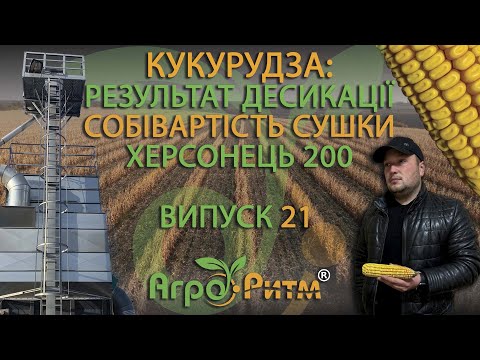 Видео: ЧИ Є ЕФЕКТ ДЕСИКАЦІЇ?НАЙДЕШЕВШИЙ КОМБАЙН.СОБІВАРТІСТЬ СУШКИ 1Т.ВИЗНАЧЕННЯ ВРОЖАЙНОСТІ.