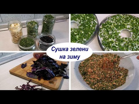 Видео: Большая сушка 2021 - зеленый лук, укроп, базилик, петрушка, чеснок. Сушеная зелень на зиму в сушилке