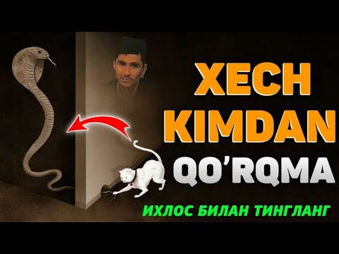 Видео: Аллохдан бошқа хеч кимдан қўрқма! ~Абдуллох Домла ~Abdulloh Domla #ilmnuri #abdullohdomla #Alloh 