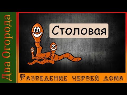 Видео: Калифорнийские черви/ Новый корм/Столовая