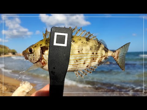 Видео: Приключението Крит - четвърта част. Риболов с полиангистро и хляб