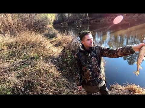 Видео: Осенняя Рыбалка . Путешествие к подножию реки Тагил . ДВЕ  СКАЛЫ  нашли сеть с рыбой.