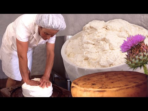 Видео: ЦВЕТОЧНЫЙ СЫР КУСТАРНЫЙ. Ручная работа с сухим цветком чертополоха и парным молоком