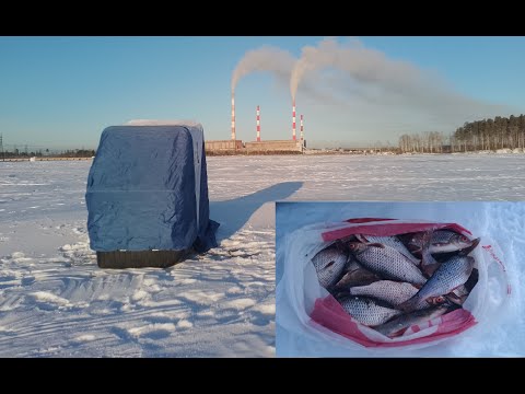 Видео: рыбалка 25.01.25 Рефтинское водохранилище