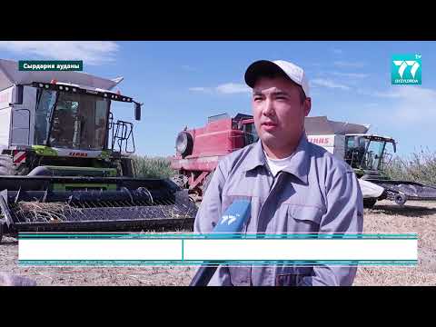 Видео: ДАЛА ТӨСІНДЕГІ ЖАС МАМАННЫҢ ДАҢҚТЫ ІЗІ