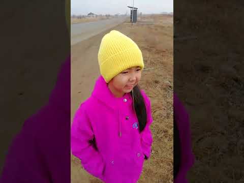 Видео: 7 ноября 2025 г.