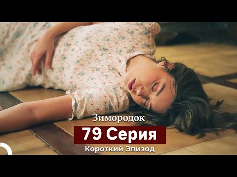 Видео: Зимородок 79 Cерия (Русский дубляж)