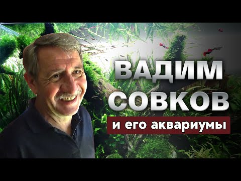 Видео: В гостях у аква-скейпера Вадима Совкова.