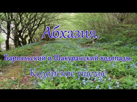 Видео: Абхазия. Невероятные Барьяльский и Шакуранский водопады. Захватывающий дух Кодорское ущелье.