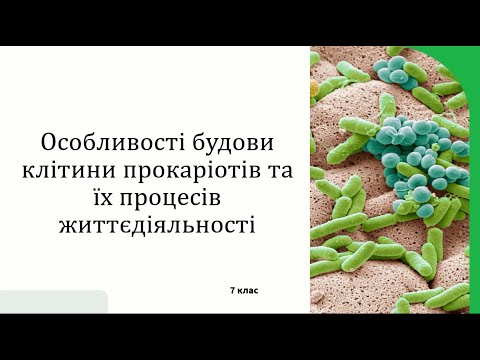 Видео: Особливості будови прокаріотів та процеси їх життєдіяльності