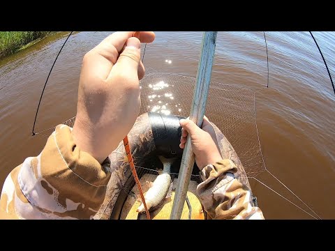 Видео: ТРОФЕЙНАЯ РЫБАЛКА НА ПАУК С ЛОДКИ!!! ВЗЯЛ ХОРОШЕГО САЗАНА и ЩУКУ. УСТАНОВКА ПОД ПАУК ТВОРИТ ЧУДЕСА!