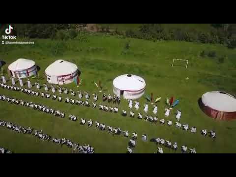 Видео: номер 10 Когарт гимназия мектеби