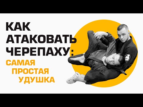 Видео: Как атаковать черепаху в бжж и грэпплинге