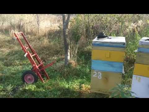 Видео: АПІЛІФТ,  повернення з лісового точка.