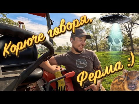 Видео: Подался в фермеры | Работа в США