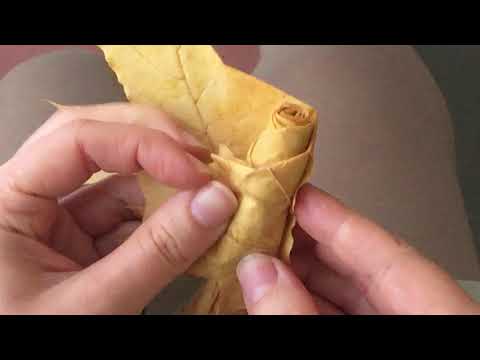 Видео: Розы из кленовых листьев
