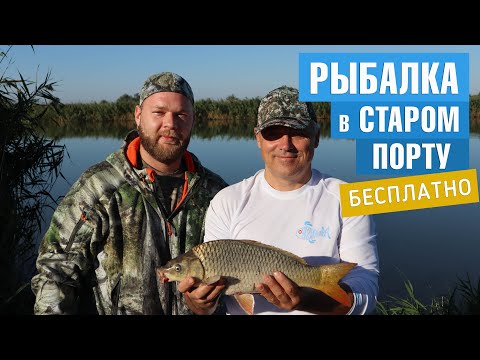 Видео: Как ловить карпа? Поводок на карпа. За что требуют деньги на Днестре? Рыбалка в Старом Порту.