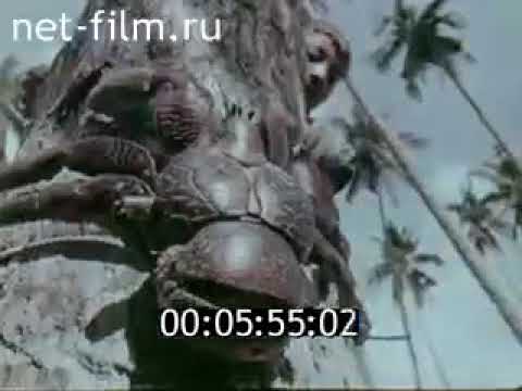 Видео: Киножурнал "Хочу всё знать" - Выпуск № 38 - 1964 год