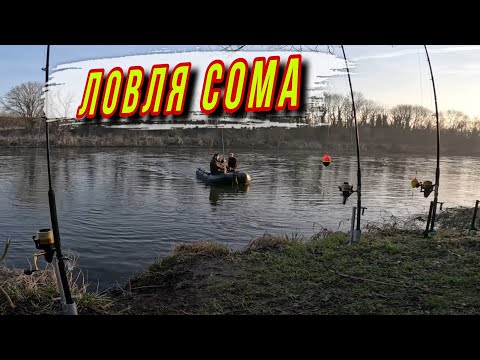 Видео: Рыбалка на СОМА 2025, ПЕРВЫЙ ВЫЕЗД, ловля с берега