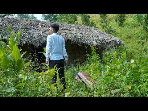 Видео: Генеральный директор потерял всё — предан семьей, спасён добротой бедной девушки