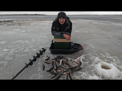 Видео: ЗАГУБЬЕ. Лен.обл. 24 03 24 ЗАКРЫЛ ЗИМНИЙ СЕЗОН