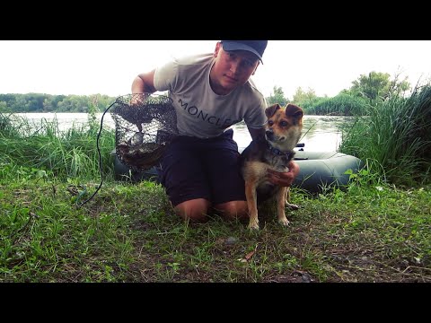 Видео: ДОБАВИЛИ СЕКРЕТНУЮ ДОБАВКУ В ТЕСТО! И НАЛОВИЛИ МНОГО РЫБЫ.