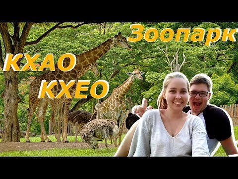 Видео: Зоопарк в Паттайе | Открытый зоопарк Кхао Кхео | Khao Kheo open Zoo Pattaya