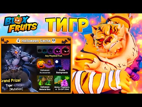 Видео: БЛОКС ФРУТС ТИГР, ОБОРОТЕНЬ и ИВЕНТ🍈🌊 Видео админа на русском