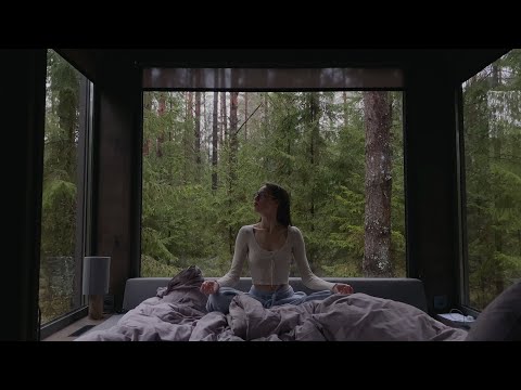 Видео: Dzen Forest. Лесной влог. 29.11.24-01.12.24