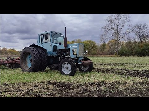 Видео: 15.10.2025 Трактор МТЗ не ламався і тут знову. Дискую ПД 2,5 падалицю ячменю на огороді з пеньками.