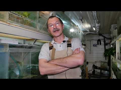 Видео: Обращение к участникам конференции Herpeton 2019 \San-Diego\