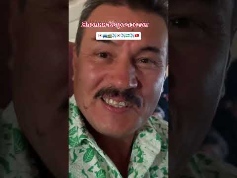 Видео: Длинная дорога домой! үйгө узак жол! Япония-Корея-Узбекистан-Кыргызстан. 1 августа 3024 года