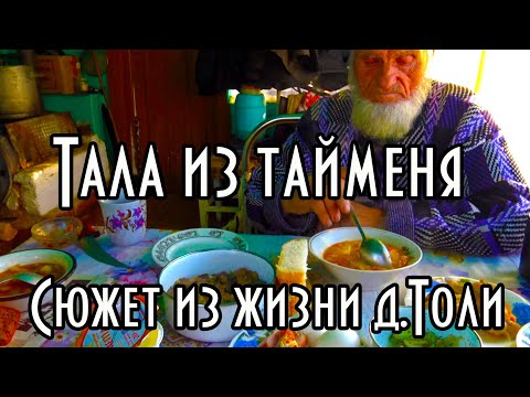 Видео: ТАЛА ИЗ ТАЙМЕНЯ. РЕЦЕПТ ИЗ ЭВЕНКИЙСКОГО ПОСЕЛКА. ГОТОВИТ ДЯДЯ ТОЛЯ