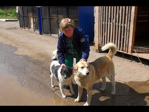 Видео: Оставила дом в деревне, что случилось? Сколько стоил дом?