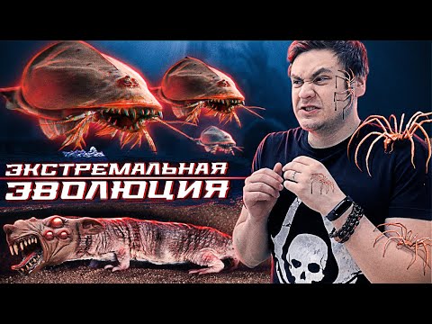 Видео: Экстремальные грани эволюции...