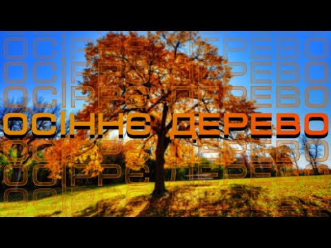 Видео: Малювання "Осіннє дерево"