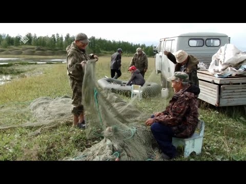 Видео: Муҥха тургутуута