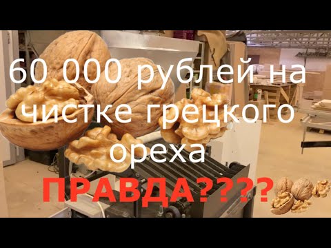 Видео: Новая бизнес идея по переработке Грецкого ореха: рассчет, окупаемость, оборудование!