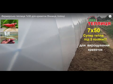 Видео: Фермерська теплиця 7х50 для креветок Вінниця, Іллінці