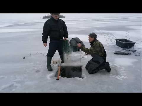 Видео: Проверка сетей зимой