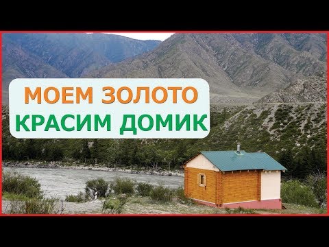 Видео: Есть ли ЗОЛОТО на Алтае? Промываем образцы породы в поисках ЗОЛОТОГО ПЕСКА