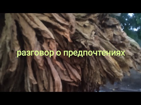 Видео: Мои предпочтения в сортах